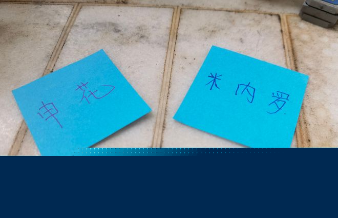 申花坏消息不断 杯赛被淘汰 米内罗停赛3场 |  第26轮中超 海港VS北京国安 都有CCTV直播