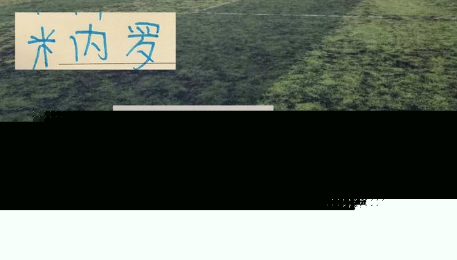 御三家年底合同到期外援 申花有米内罗等3人 山东泰山有2人